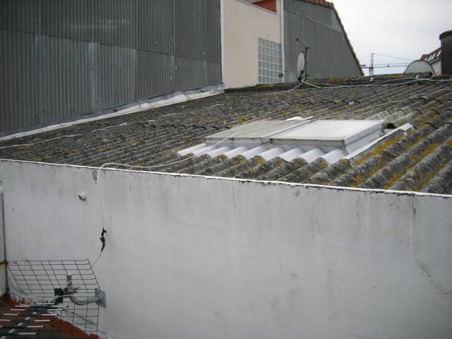Rehabilitación en Monte Alto