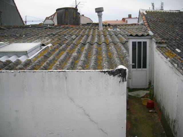 Rehabilitación en Monte Alto