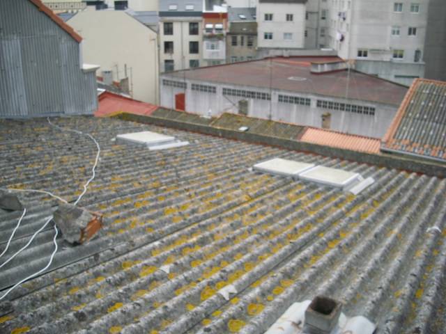Rehabilitación en Monte Alto