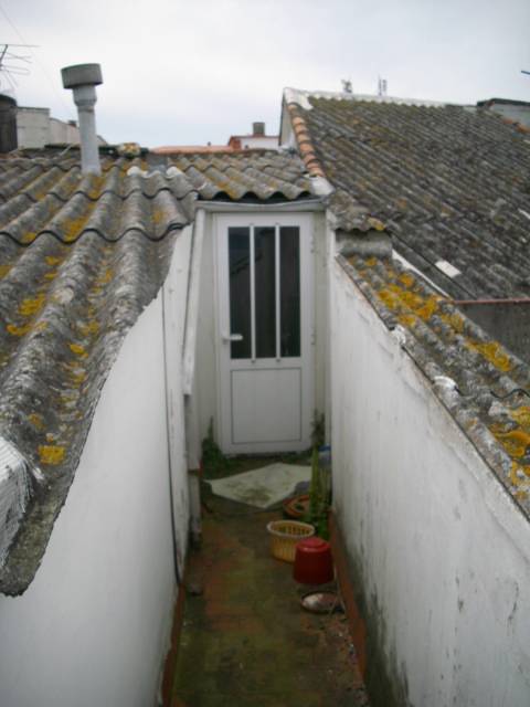 Rehabilitación en Monte Alto