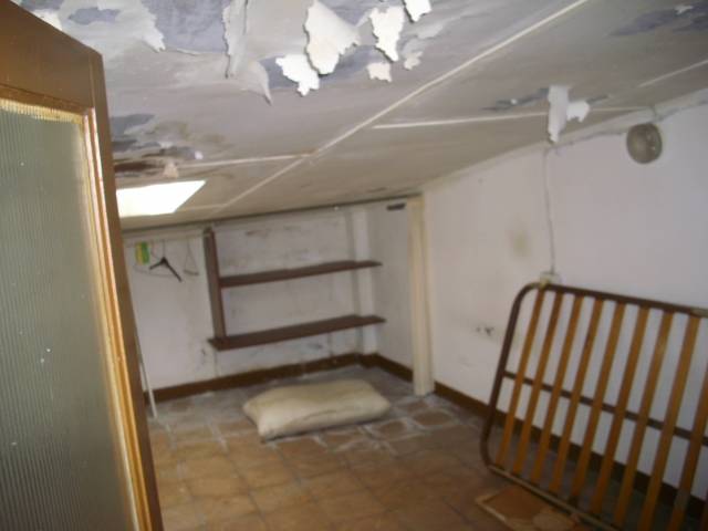 Rehabilitación en Monte Alto