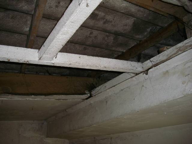 Rehabilitación en Monte Alto