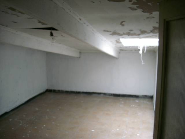 Rehabilitación en Monte Alto